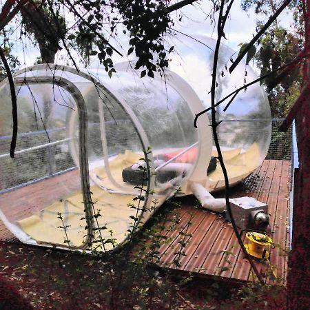 فندق سيلاوسفي  Dans Ma Bulle By C Cibeaulaos المظهر الخارجي الصورة